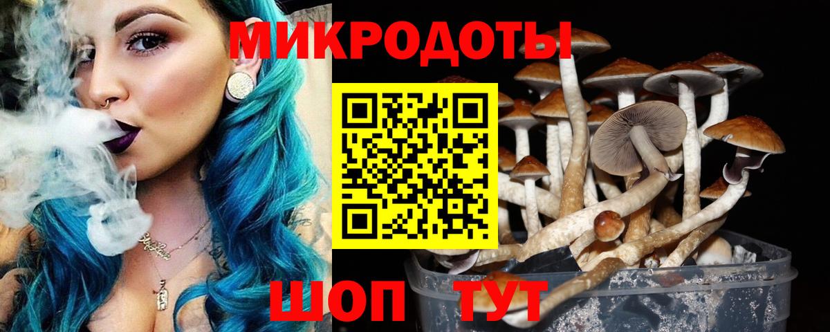 Галлюциногенные грибы Psilocybine cubensis  Галлюциногенные грибы мицелий  Барнаул  Вход с VPN 