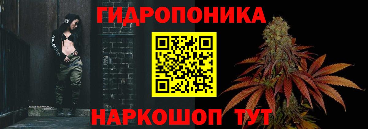 Каннабис конопля Барнаул